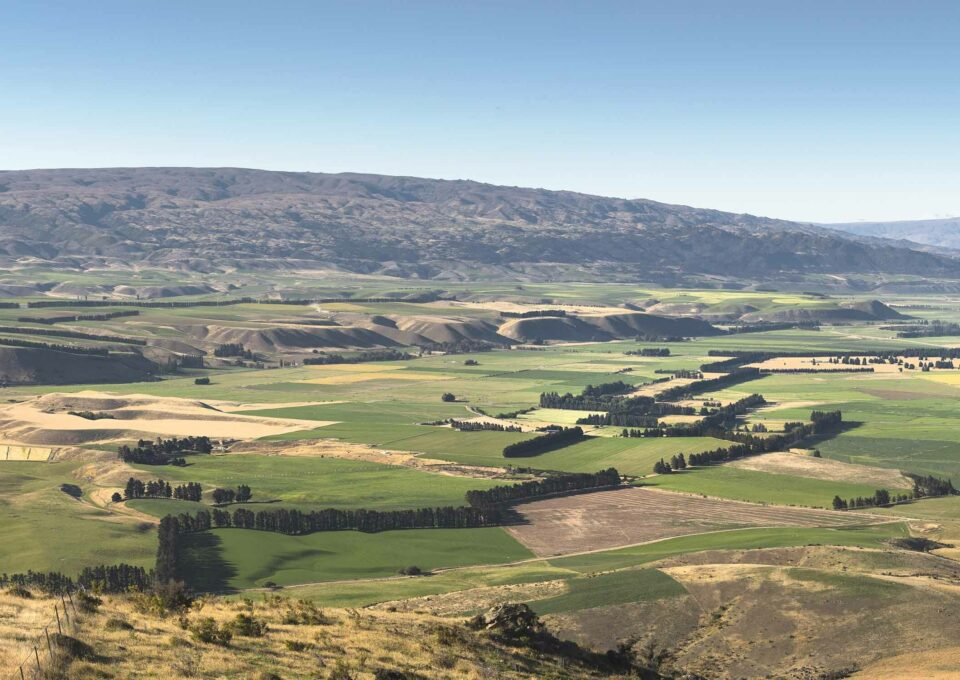 Project overview - Central Otago Airport
